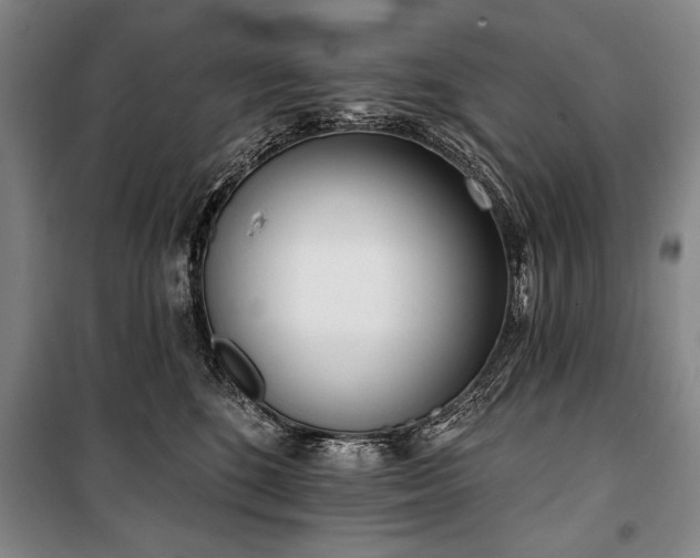 X0000101200520200806271354