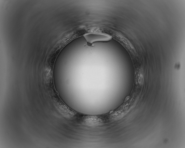 X0000101200521200806271354