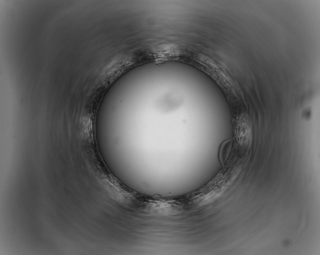 X0000101200523200806271354