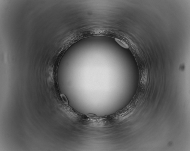 X0000101200524200806271354