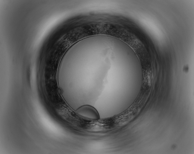 X0000101200526200806271354