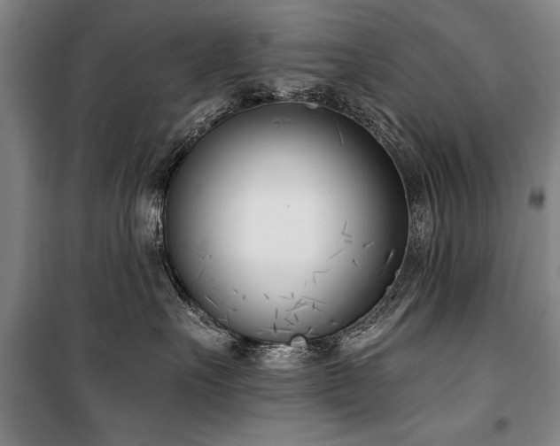 X0000101200527200806271354
