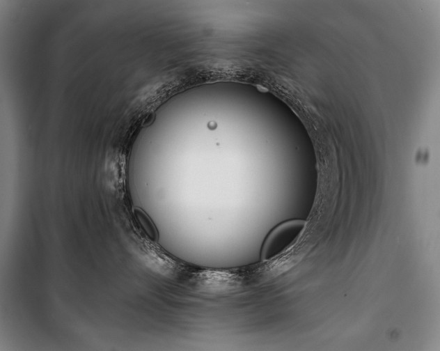 X0000101200528200806271354