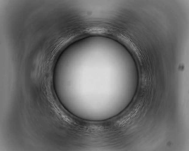 X0000101200529200806271353
