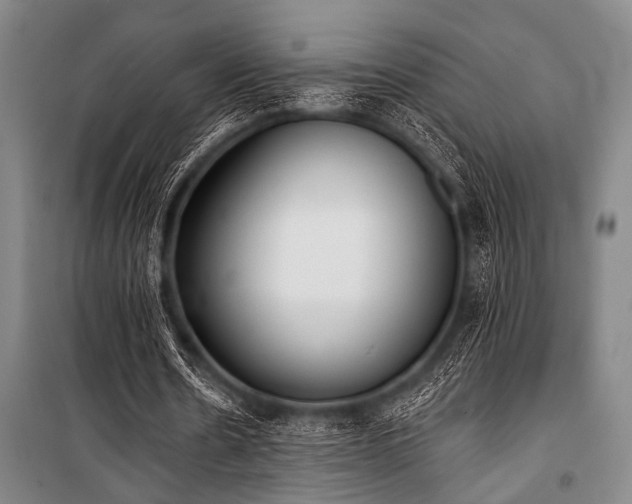 X0000101200530200806271353