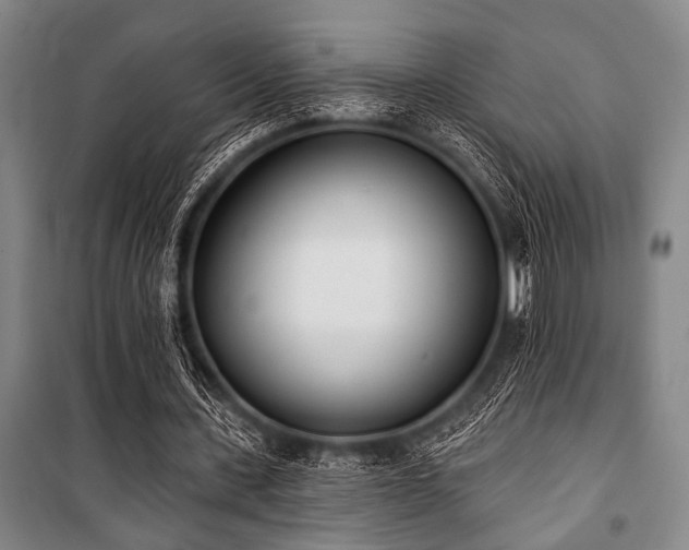 X0000101200531200806271353