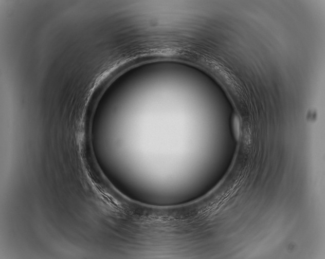 X0000101200532200806271353