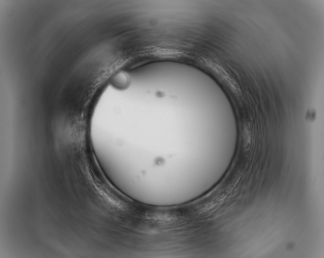 X0000101200533200806271353
