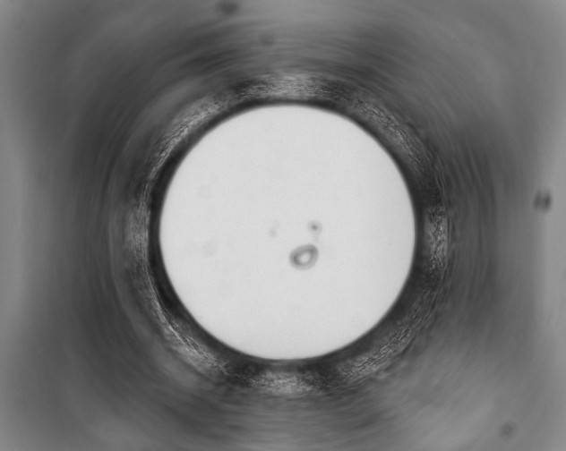 X0000101200534200806271353