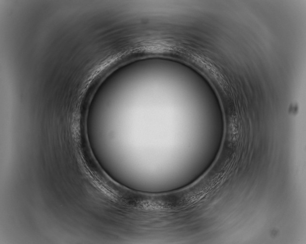 X0000101200535200806271353