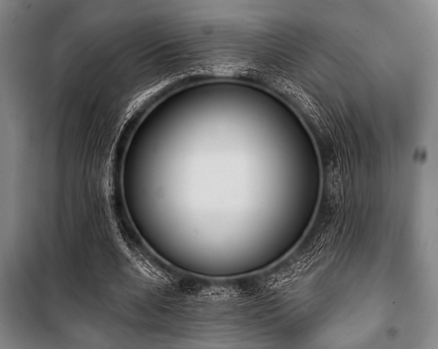 X0000101200536200806271353
