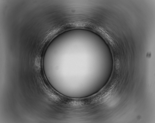 X0000101200537200806271353