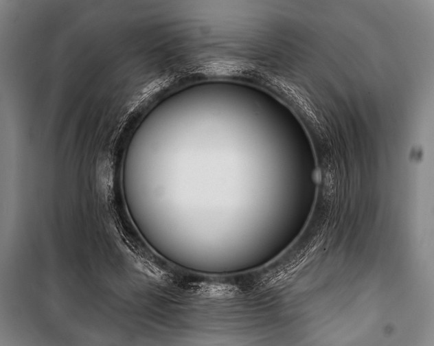 X0000101200539200806271353