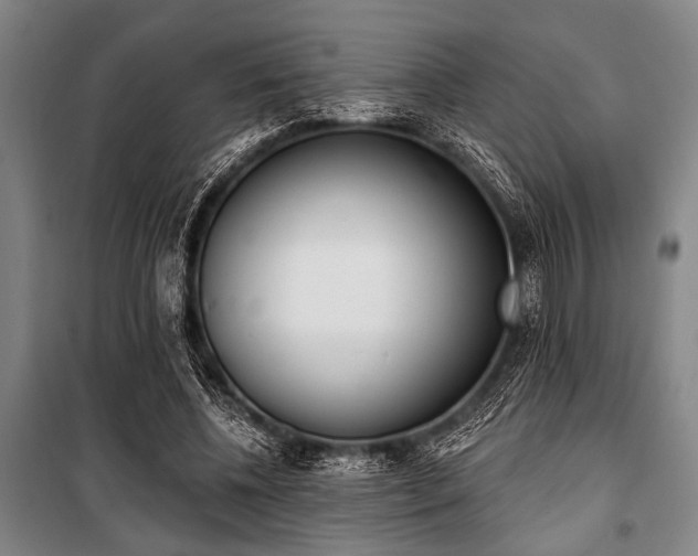 X0000101200540200806271353