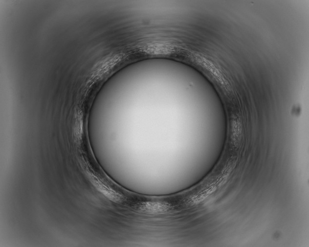 X0000101200541200806271353