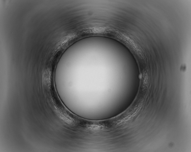 X0000101200542200806271353