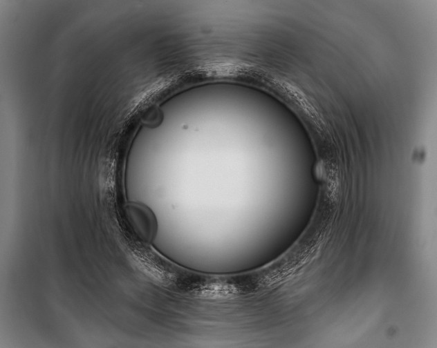 X0000101200543200806271353