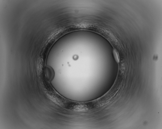 X0000101200544200806271353
