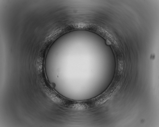 X0000101200545200806271353