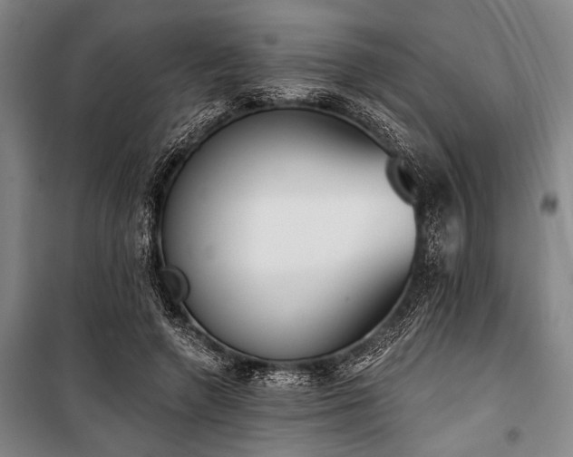 X0000101200546200806271353