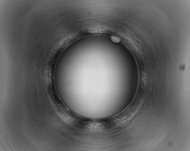 X0000101200547200806271353