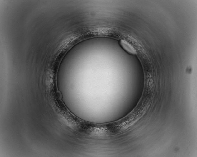 X0000101200548200806271353
