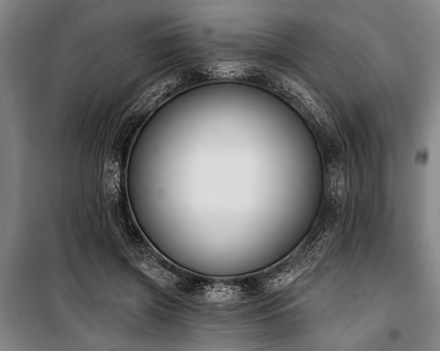 X0000101200549200806271353