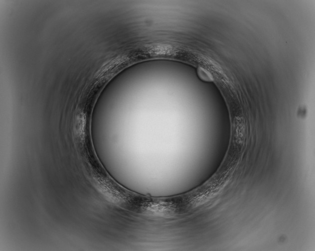 X0000101200550200806271353