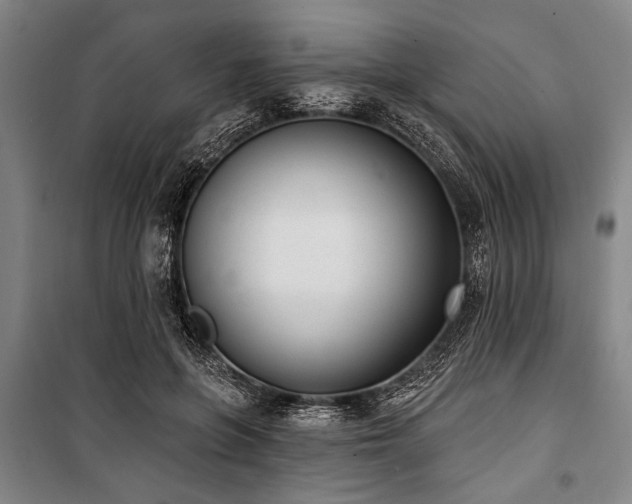 X0000101200551200806271353