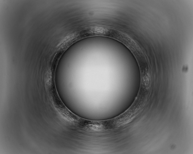 X0000101200552200806271353