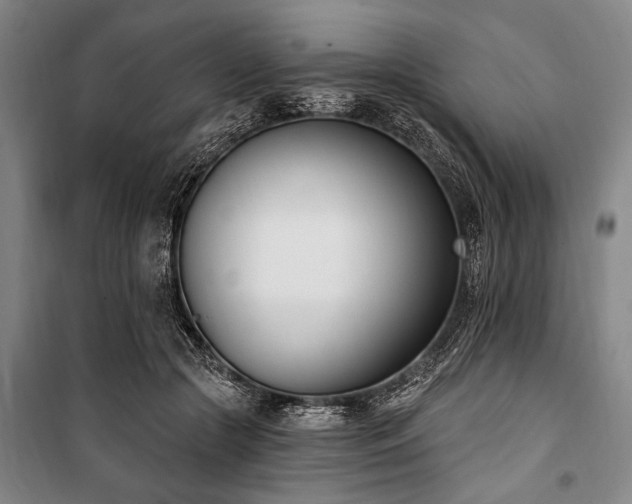 X0000101200553200806271353
