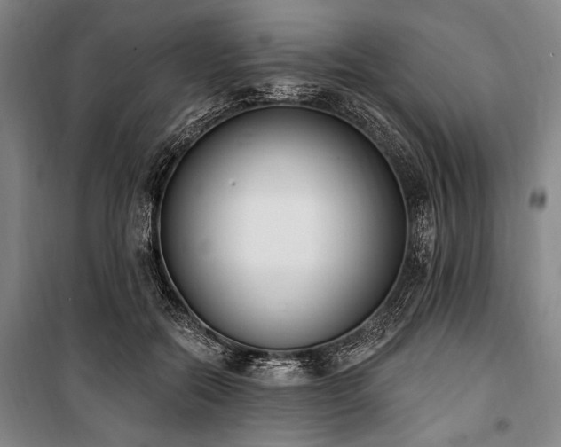 X0000101200554200806271353