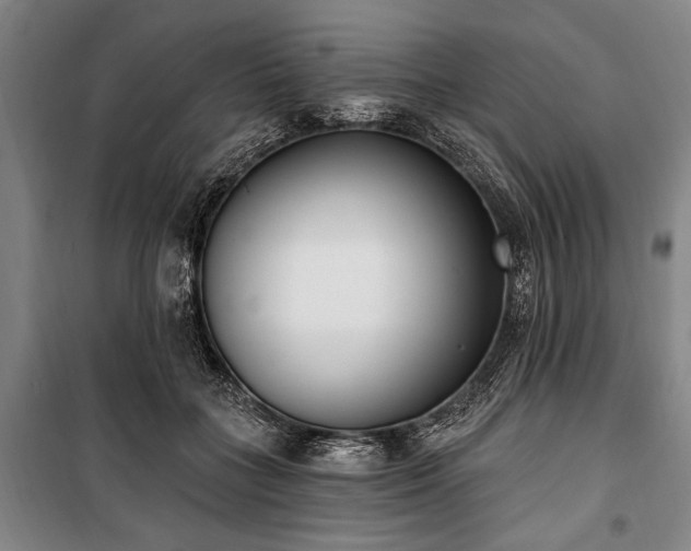 X0000101200555200806271353