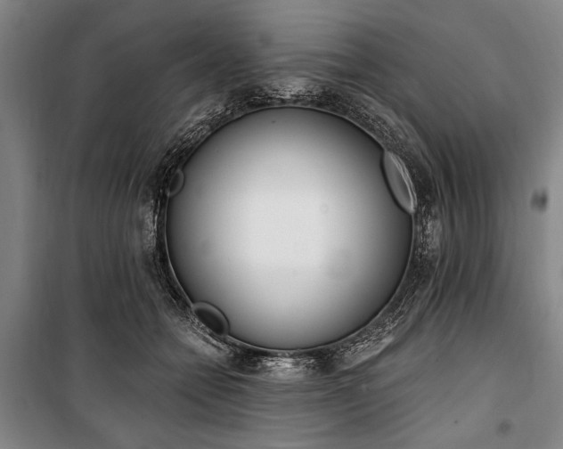 X0000101200558200806271353