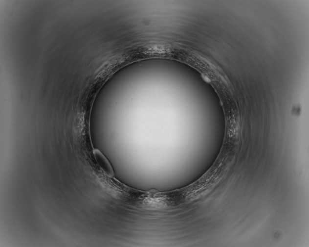 X0000101200560200806271353