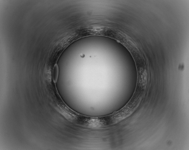 X0000101200562200806271353
