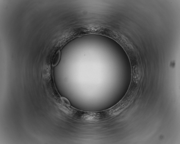 X0000101200563200806271353
