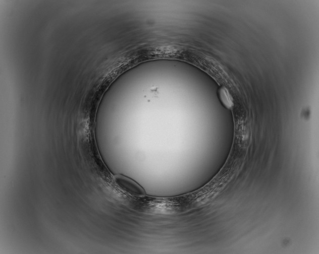 X0000101200564200806271353