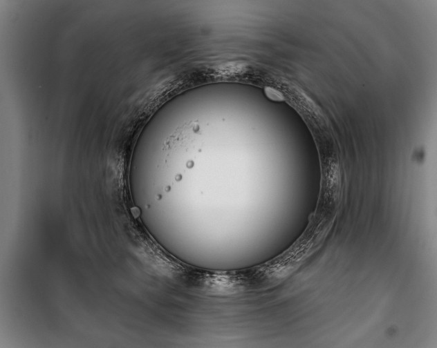X0000101200565200806271353