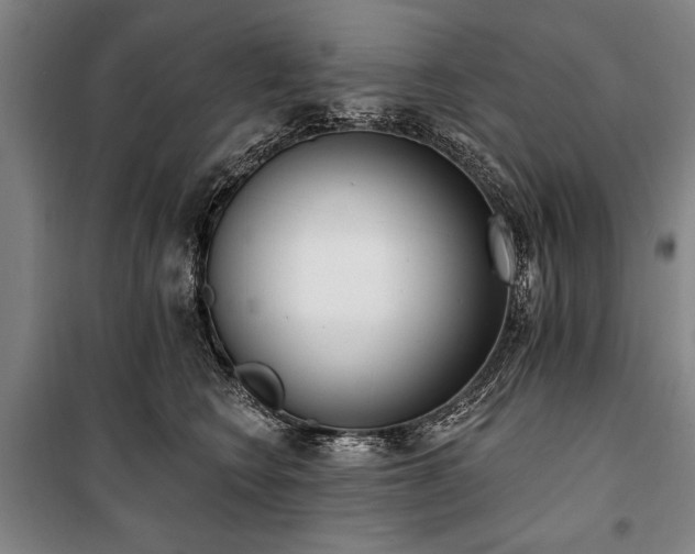 X0000101200566200806271354