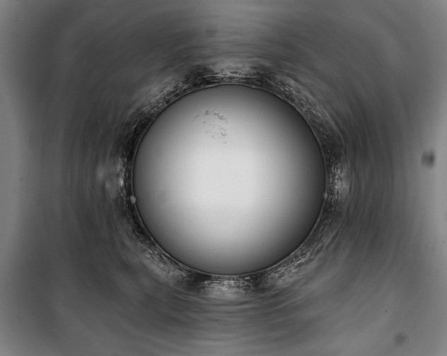 X0000101200567200806271354