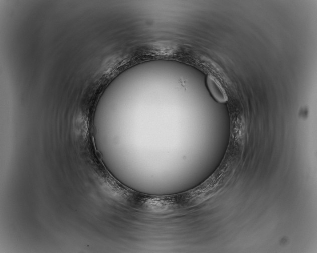 X0000101200568200806271354