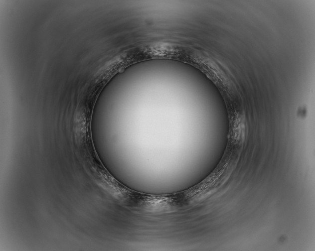 X0000101200569200806271354