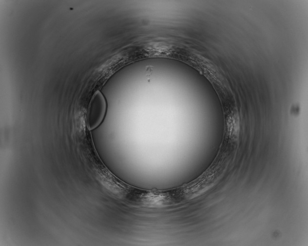 X0000101200570200806271354
