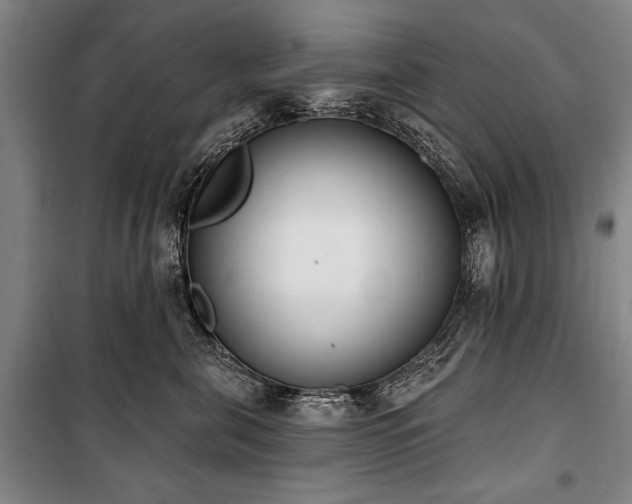X0000101200571200806271354