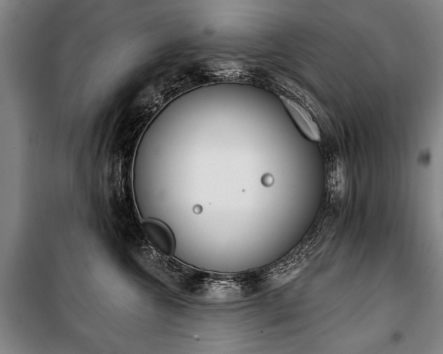 X0000101200572200806271354