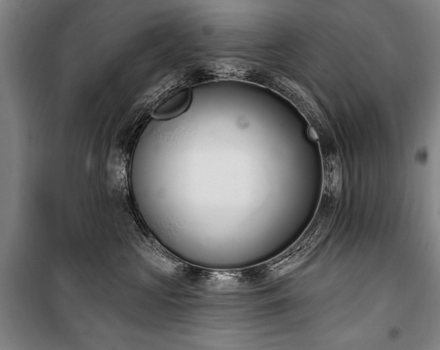 X0000101200573200806271354