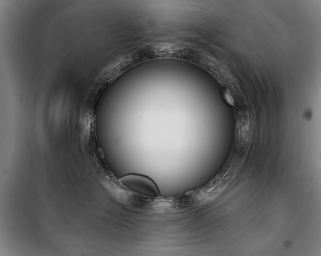 X0000101200574200806271354