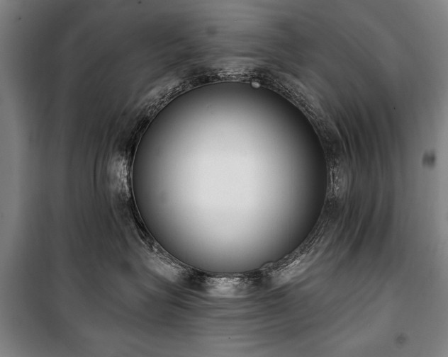 X0000101200575200806271354