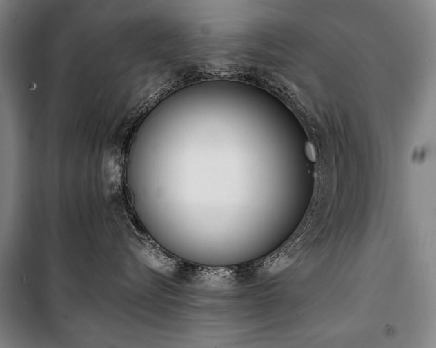X0000101200576200806271354